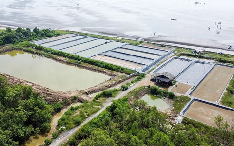 Thuê đất công làm du lịch nhưng đào ao nuôi tôm khiến người dân lo lắng