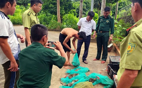 Phạt hơn 17 triệu đồng người đưa 17 con khỉ đuôi dài Côn Đảo về bờ