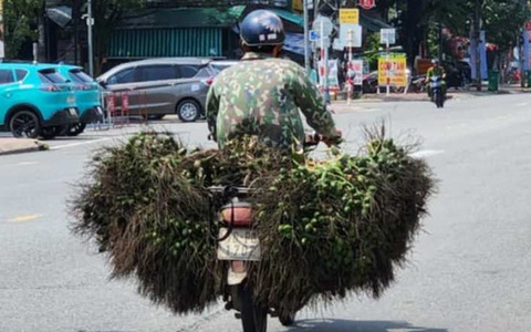 Trung Quốc 'quay xe', giá cau trên đà lao dốc