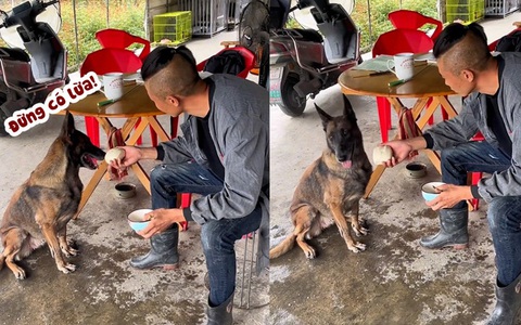 Chú chó cảnh giác khi ông chủ cho cái bánh bao