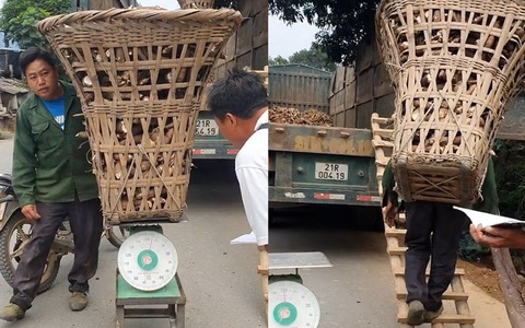 Người đàn ông đeo gùi sắn 160kg đi băng băng lên thùng xe tải