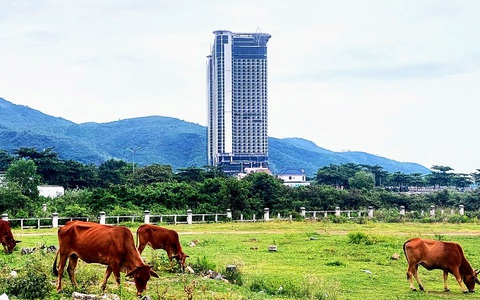 Kiểm tra, xử lý vụ ‘quên’ thu hồi đất tại Nha Trang với công ty liên quan Lã Quang Bình
