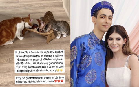 Em trai An Tây 'nhờ giúp đỡ' sau khi chị gái bị tạm giữ