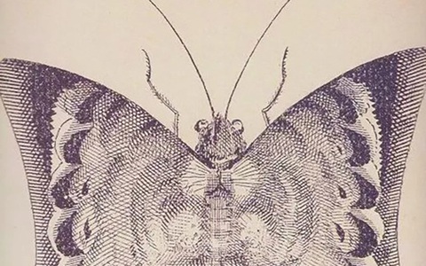 Thử tài tinh mắt: Con hổ ở đâu?