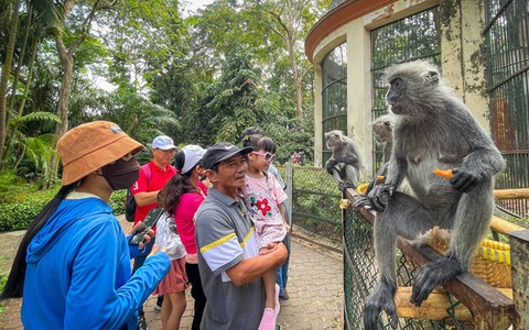 Để Thảo cầm viên luôn 'vui quá bạn ơi'