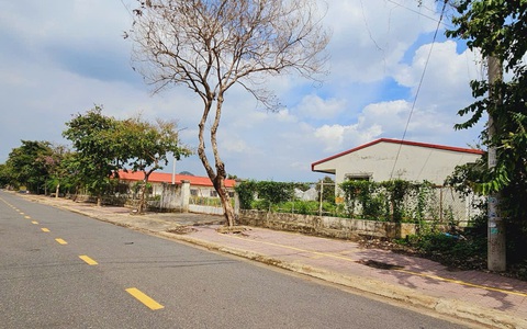 Người từ TP.HCM về Bà Rịa - Vũng Tàu mua khu đất đấu giá hơn 110 tỉ đồng