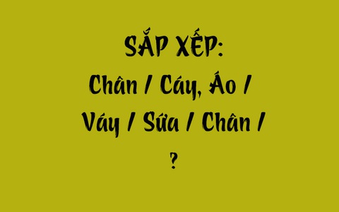 Thử tài tiếng Việt: Sắp xếp các từ sau thành câu có nghĩa (P159)