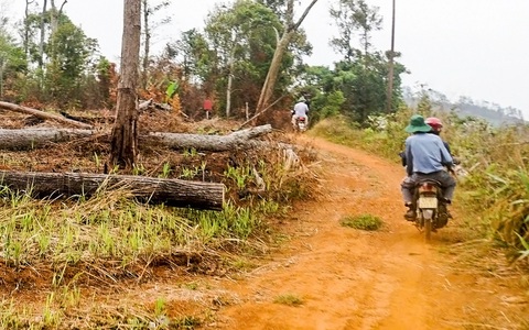 Nguyên ủy viên ban thường vụ tỉnh ủy bị kỷ luật, tòa xử vẫn... ôm đất rừng