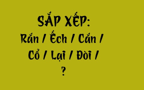 Thử tài tiếng Việt: Sắp xếp các từ sau thành câu có nghĩa (P165)