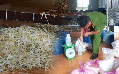 Giật mình với doanh nghiệp dùng chất cấm ngâm giá được chứng nhận đủ điều kiện an toàn thực phẩm