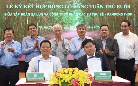 Thành quả đầu tiên của ngành cao su khi thích ứng với quy định chống phá rừng của EU