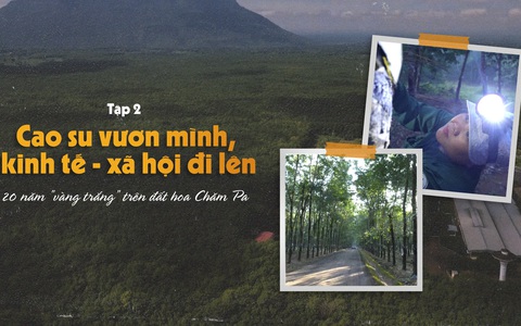 20 năm ‘vàng trắng’ trên đất hoa Chăm Pa | Tập 2: Cao su vươn mình, kinh tế - xã hội đi lên