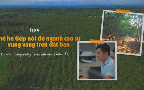 20 năm 'vàng trắng' trên đất hoa Chăm Pa | Tập 4: Thế hệ tiếp nối để ngành cao su vững vàng trên đất bạn