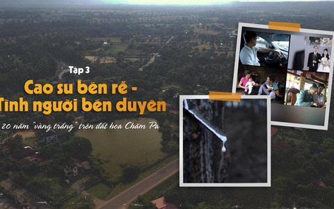 20 năm ‘vàng trắng’ trên đất hoa Chăm Pa | Tập 3: Cao su bén rễ - Tình người bén duyên
