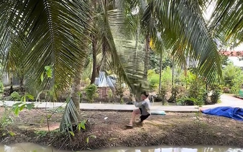 Chàng trai đu tàu dừa ngã xuống lòng mương