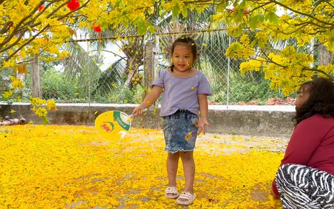Danh thắng quốc gia Mũi Điện, làng mai vàng ở miền Tây nhẹ nhàng trong ngày mùng 1 Tết