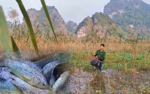 Góc nhìn trưa nay: Đặc sản cá tiến vua ở đất cố đô