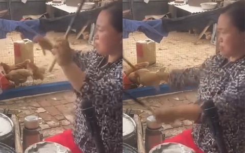 Người phụ nữ ngồi bên chuồng gà đánh trống siêu ngầu
