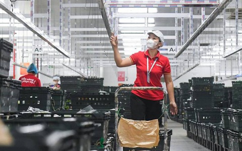 Nhà tuyển dụng nào được yêu thích nhất 2023?