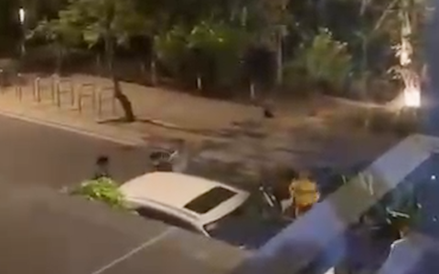 Video ghi cảnh la hét, ồn ào tại nơi ở của hoa khôi Nam Em, công an đang xác minh