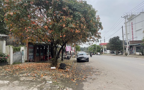Vỉa hè ở Quảng Trị quét rác cách ngày vì thiếu tiền