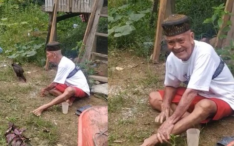 Cụ ông bối rối khi 'hóa đá' vẫn không bắt được gà