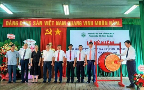 Phân hiệu trường đại học Lâm nghiệp tại Gia Lai