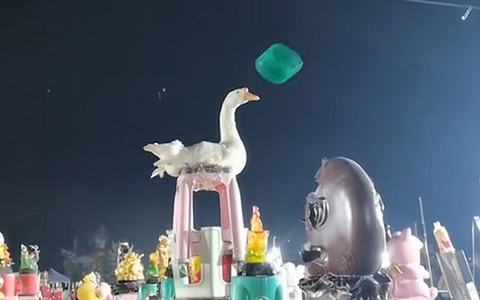 Cao thủ ngỗng khiến người chơi ném vòng bất lực