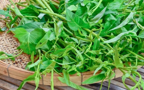 Những ai cần hạn chế ăn rau muống?