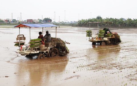 Quy hoạch tỉnh Thái Bình: Nông nghiệp vẫn là ‘xương sống’ kinh tế