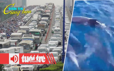 Điểm tin 18h: Cá heo bơi tung tăng ở Mũi Điện; Xe đi đường không được tùy tiện bấm còi