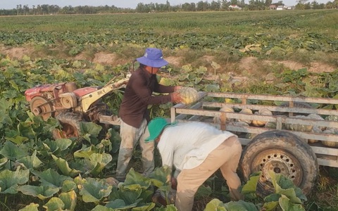 Góc nhìn trưa nay: Sống chung với hạn mặn