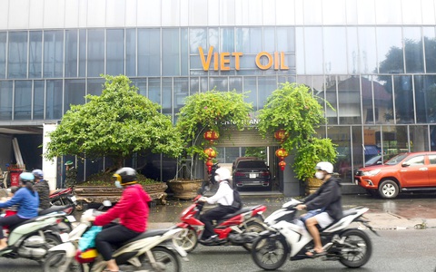 Ba cán bộ Bộ Công Thương bị bắt vụ Xuyên Việt Oil: Sóng ngầm cấp phép xăng dầu