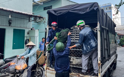 Liên hệ đội bắt chó thả rông: Thống nhất một đầu mối qua tổng đài 1022?