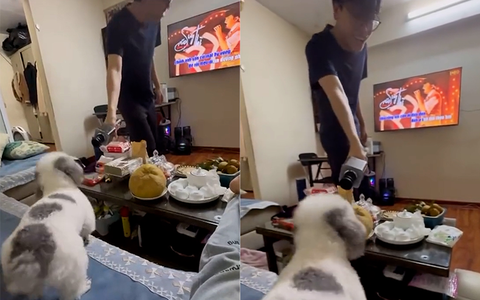 Chú chó đam mê hát karaoke siêu hài