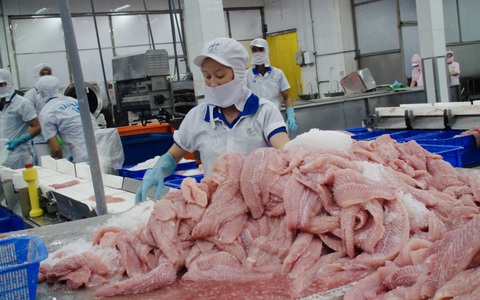 Giá cá tra giảm 1.600 đồng/kg so với cùng kỳ