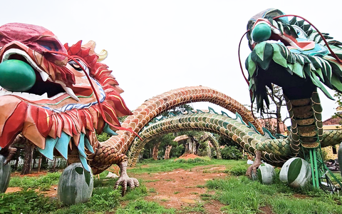 Vì sao rồng ở đường hoa Nguyễn Huệ không 'sống' được khi đưa lên Đà Lạt?