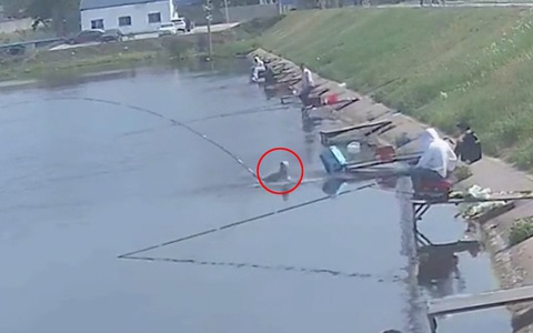 Cần thủ bị cá lôi ngã cắm đầu xuống ao