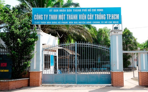 Công ty Cây trồng TP.HCM 'cầu cứu' vì hết tiền trả lương, nợ thuế hơn 300 tỉ