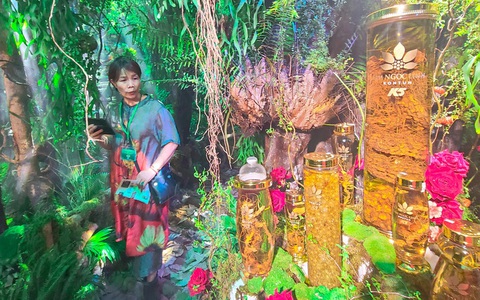 Kỳ vọng mang tên... sâm