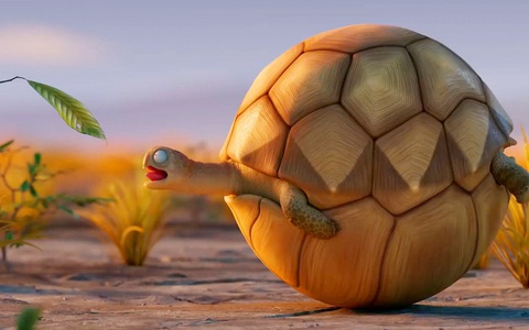 Chú rùa với ‘tâm bất biến’ trong phim hoạt hình mới