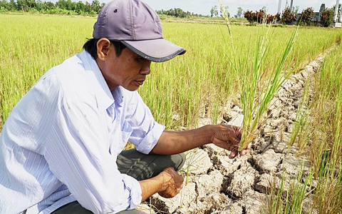 Cà Mau hạn nặng, nhiều dòng sông cạn khô nước, trơ đáy