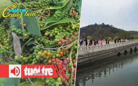 Điểm tin 8h: Hồ tiêu, cà phê xuất từ cảng bị 'rút ruột'; Bốn nhà giáo dục Mỹ bị tấn công bằng dao