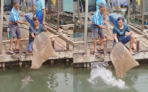 Màn vợt cá vụng về nhất quả đất