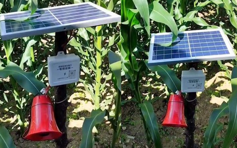 Máy canh gác ngô tự động 4.0