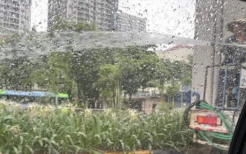 Sở Xây dựng Hà Nội kiểm tra thông tin công nhân tưới cây giữa trời mưa tầm tã