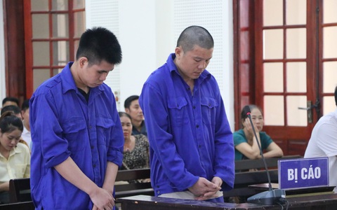 Chế ngăn bí mật chở lô hàng gỗ trắc, vảy tê tê gần 13 tỉ đồng qua biên giới