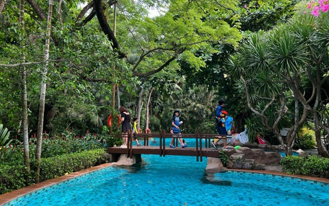 Ấn tượng trảng rừng nhiệt đới trong resort Đà Nẵng