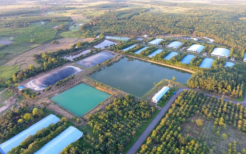 C.P. Việt Nam tiên phong thực hành cam kết Net Zero, hướng đến tương lai xanh