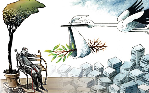 Khi cây xanh trở thành… huyền thoại đô thị